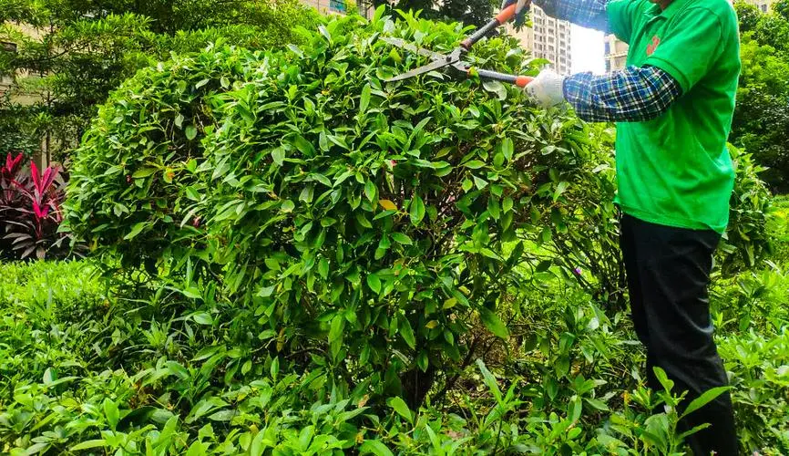 米乐：德约科维奇网球拍挥重